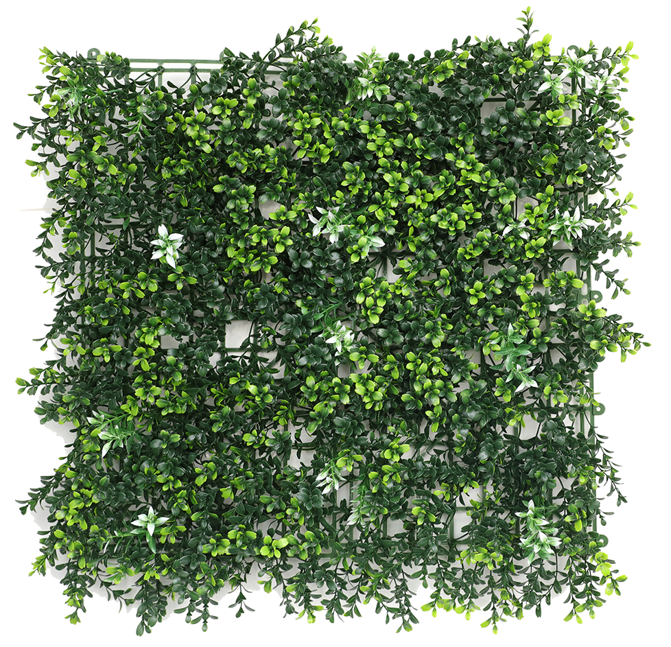 A019